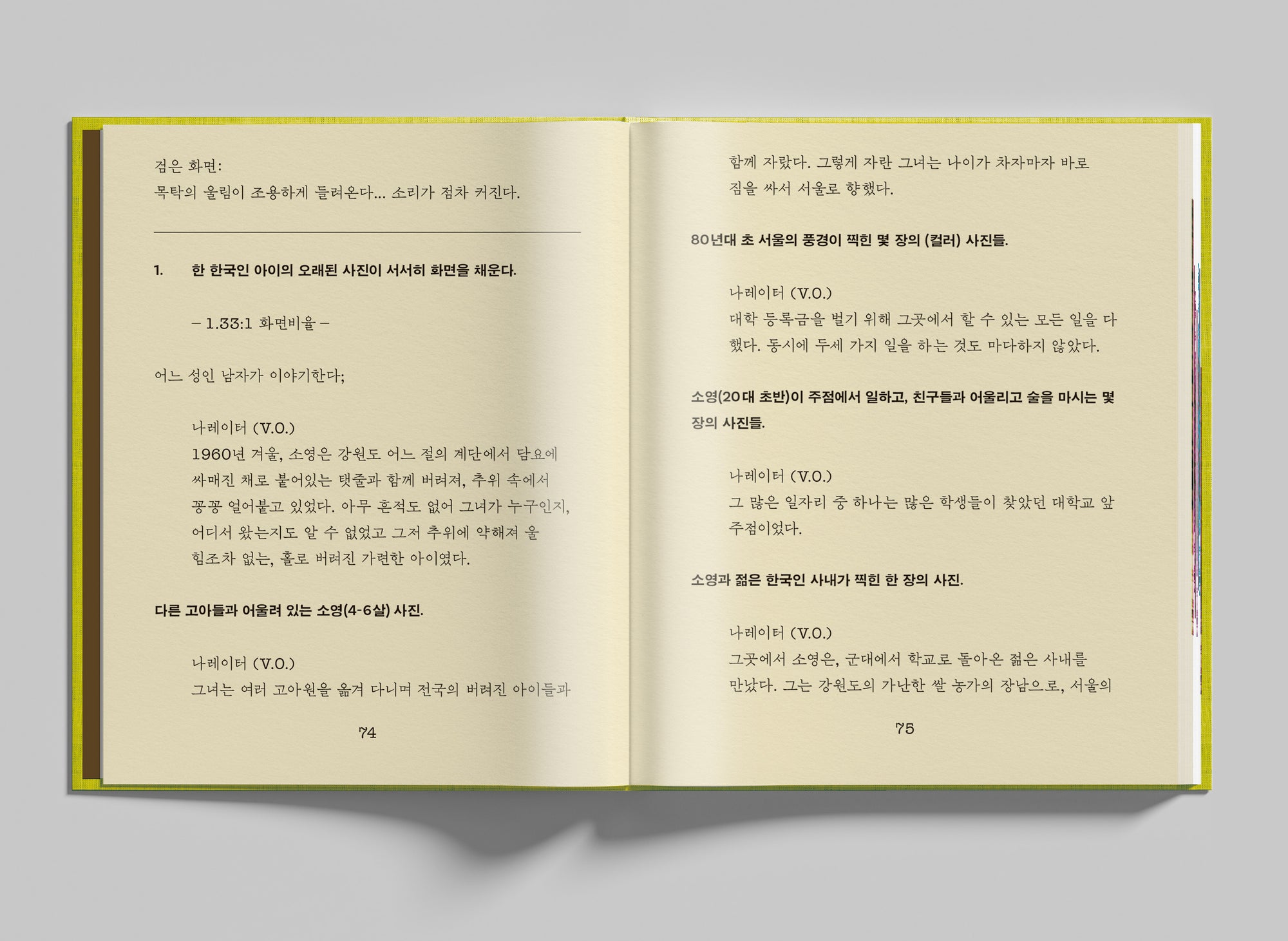 Riceboy Sleeps: Screenplay Book