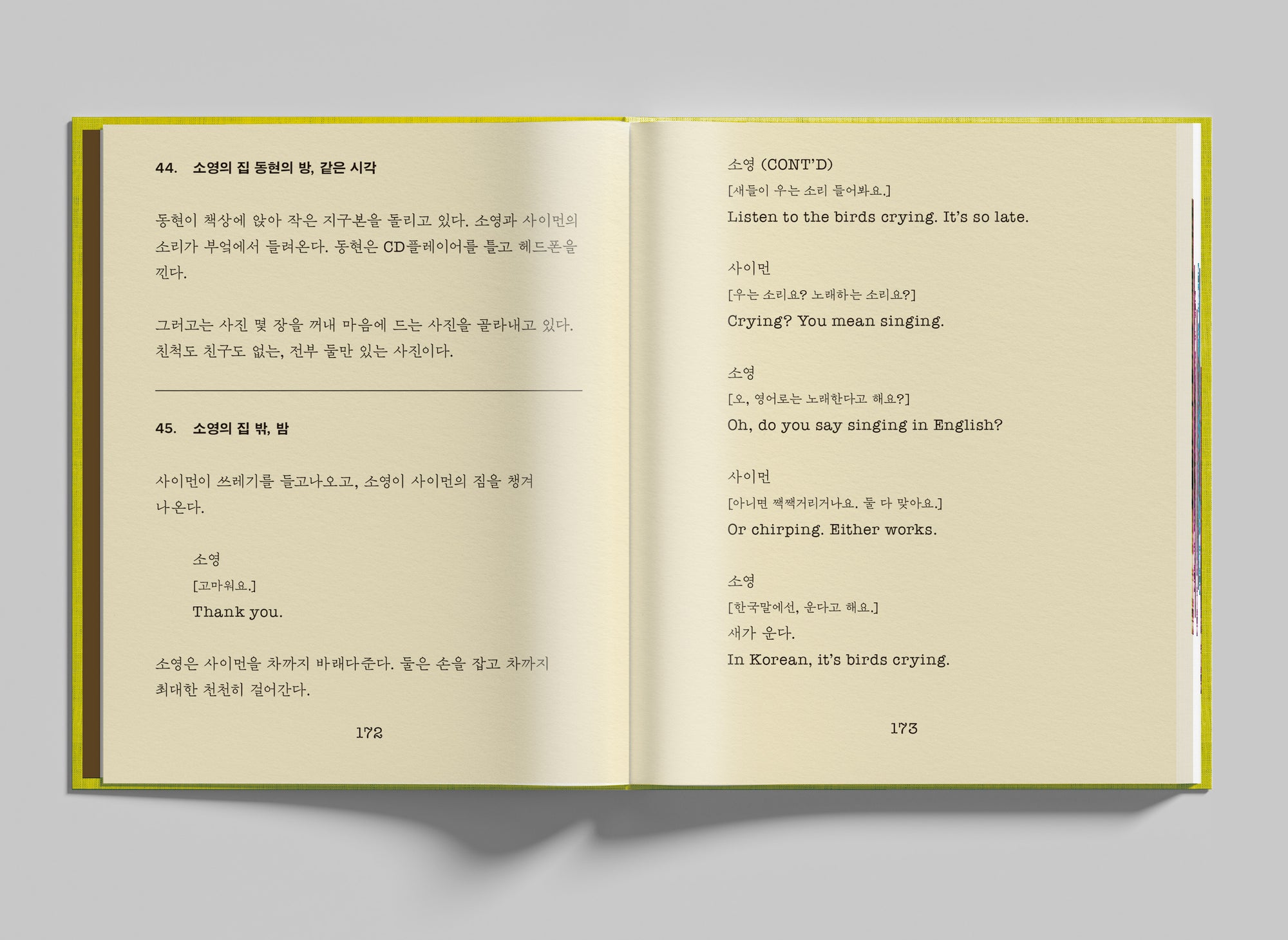 Riceboy Sleeps: Screenplay Book