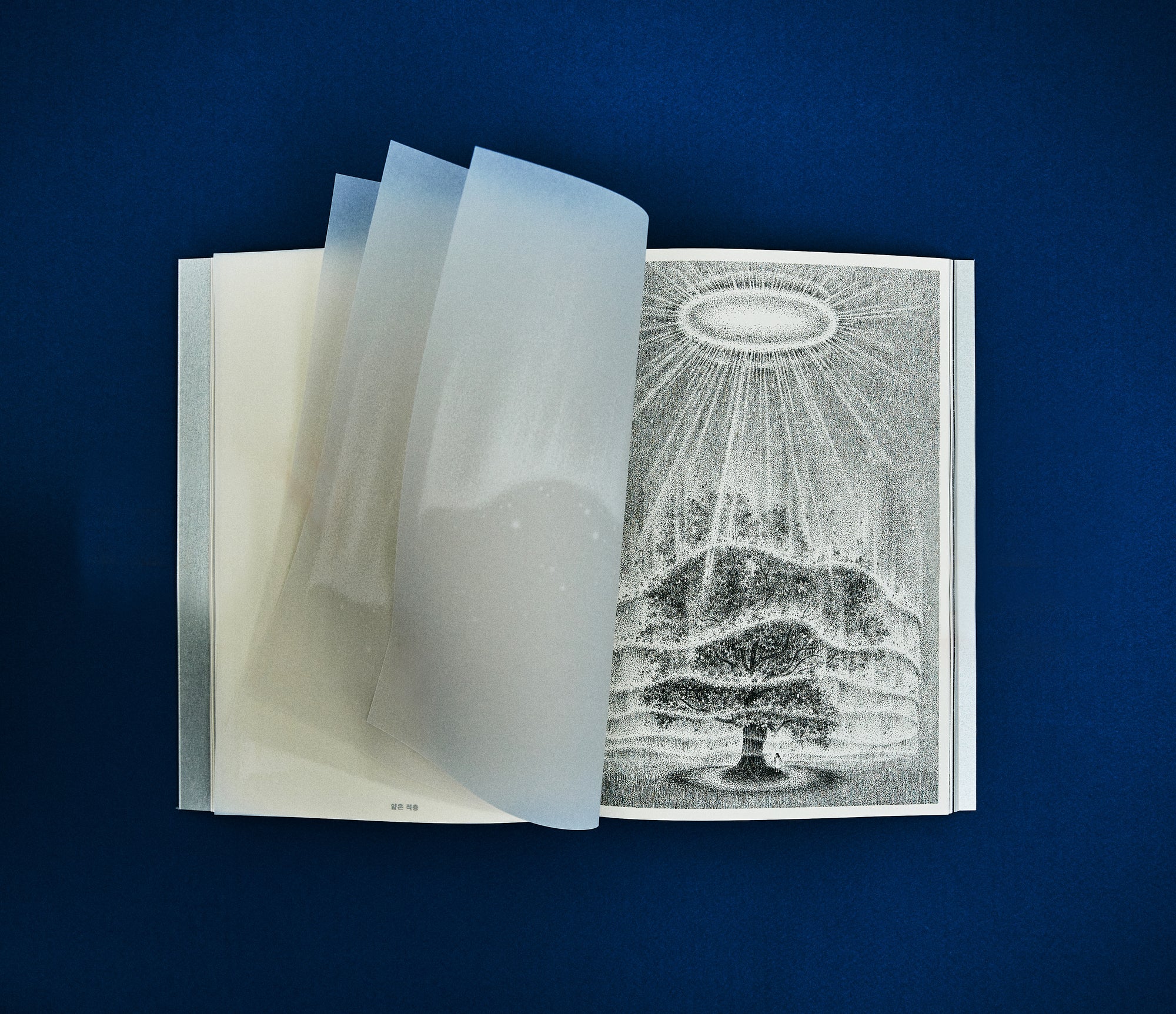 Woo, Un: Cloud Illustration Book