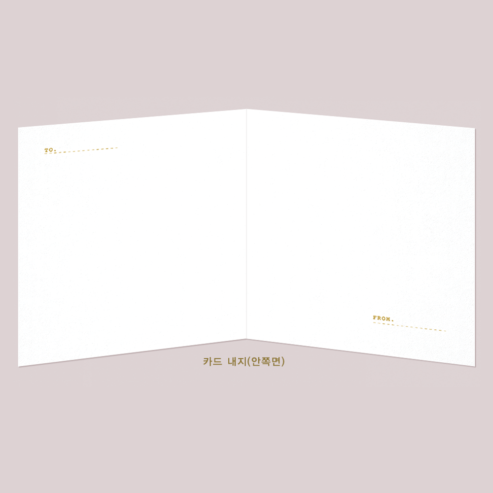 CAROL DVD: Christmas Card Edition