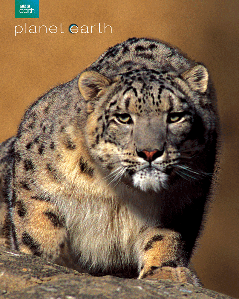 PLANET EARTH : UCE Steelbook with Double Sided Lenticular Full Slip (6Discs)