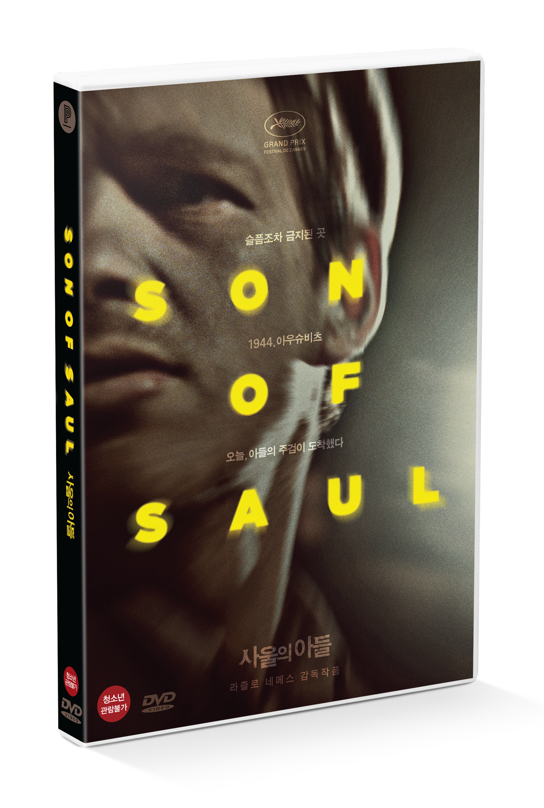 SON OF SAUL DVD